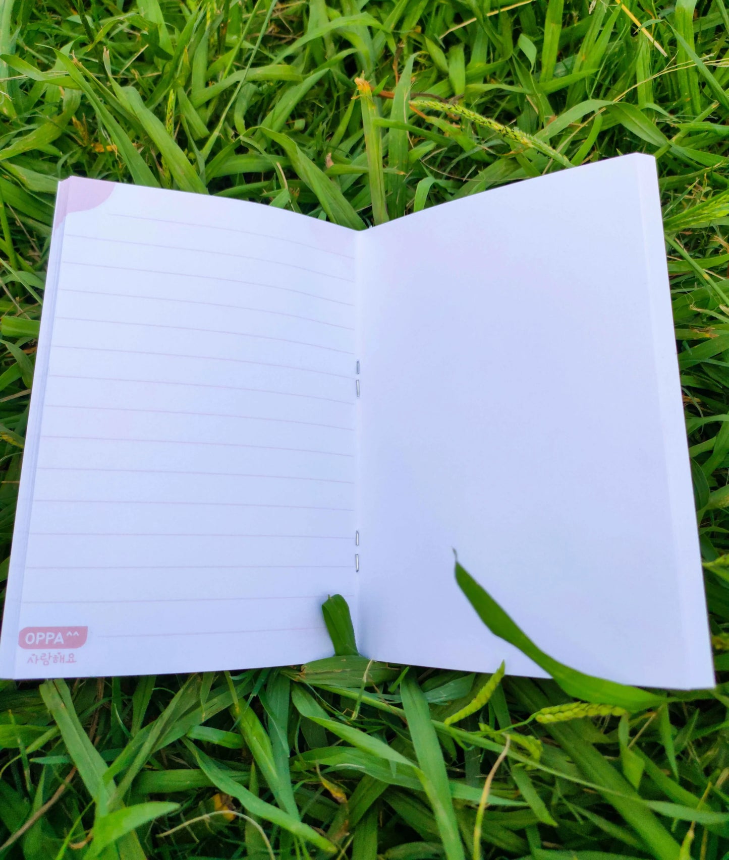 Lovely runner Premium Mini Notebook