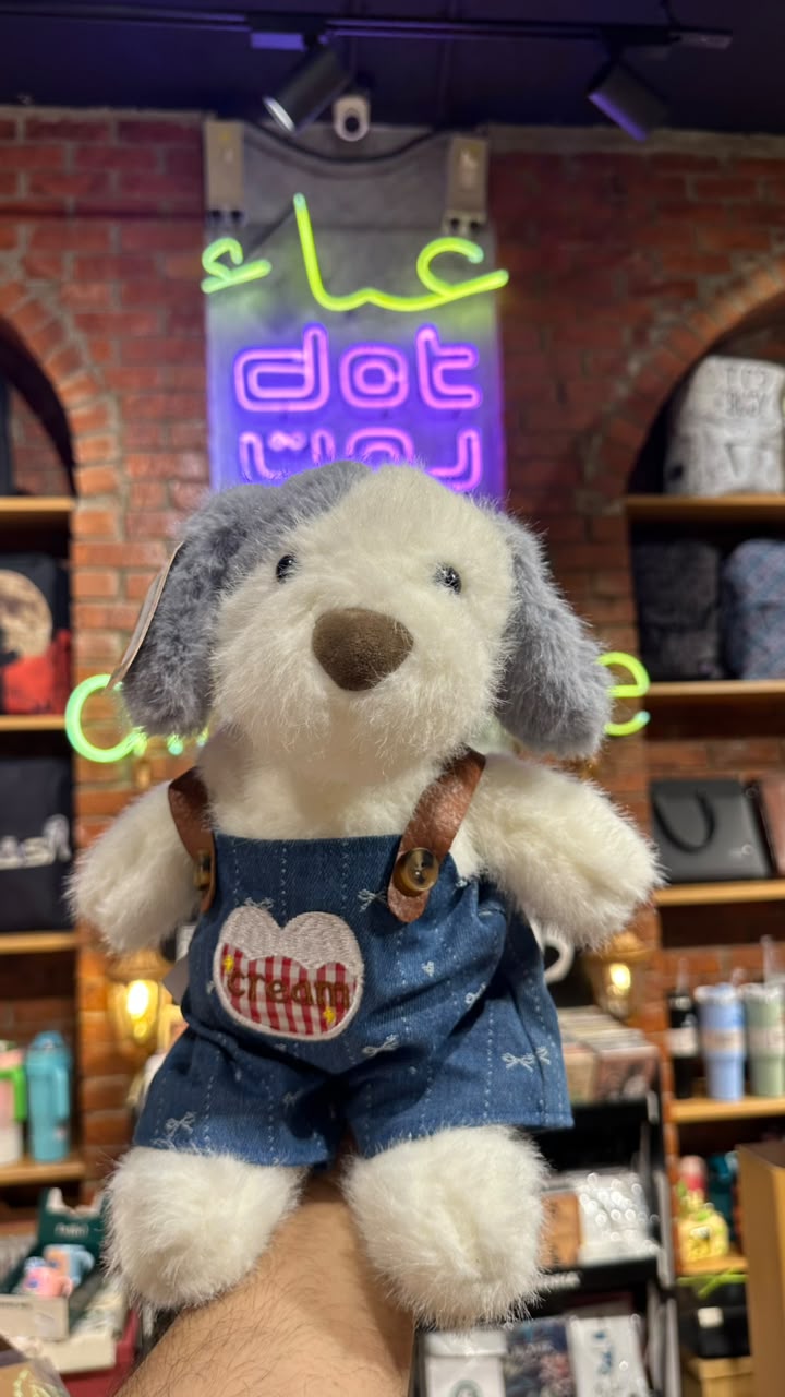 dog toy