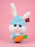 Bunny Plush Toy